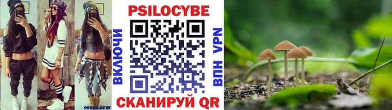 Галлюциногенные грибы прущие грибы  Купить  Гуково 